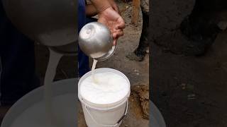 जिंदगी में कश्ट होगा मेरे दोस्त viralvideo cow farming short milking yt ytshort [upl. by Eisele]