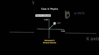 Horizontal and vertical velocity of Projectile motion shorts [upl. by Aneeres642]