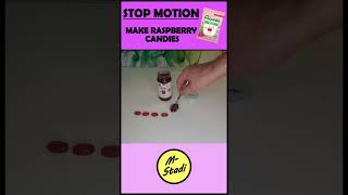 Stop MotionMake Raspberry Candies amp ASMR stopmotion asmrsounds raspberry candies animation [upl. by Aubarta]