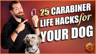 Best Dog Accessory 25 Carabiner Life Hacks for Your Dog [upl. by Vick]