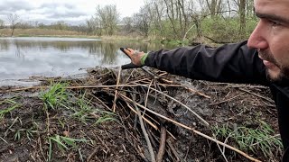 “BEAVERS OCEANIC MISTAKE” Beaver Dam Removal Unleashes Oceans Fury [upl. by Erbe]