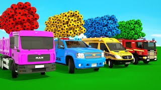 Bingo Song  The Wheels on The Bus Song Baby cars and soccer ballsBaby Nursery Rhymes amp Kids Songs [upl. by Arlina]