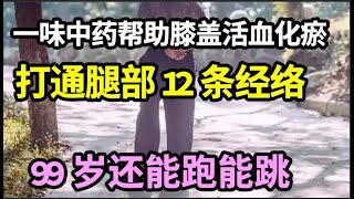 膝盖老化走路痛？一味中药帮助膝盖活血化瘀，打通腿部12条经络，延长膝盖寿命，99岁还能跑能跳【本草养生大智慧】 [upl. by Nevanod]