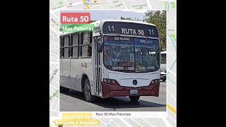 Ruta 50 Más Palomas  Centro CamionesDelRecuerdoyActuales [upl. by Ramonda]