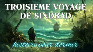 Histoire pour Dormir  Troisième Voyage de Sindbad 48  Conte Relaxant  Conte Oriental [upl. by Palocz]