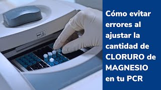 🧬🧬🧬CÁLCULOS para el ajuste preciso de CLORURO de MAGNESIO para optimizar la PCR 🧬🧬🧬 [upl. by Merline]