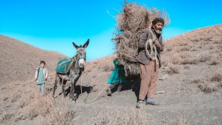 People of the Village Life in the Mountains of Afghanistan [upl. by Kcuhc39]