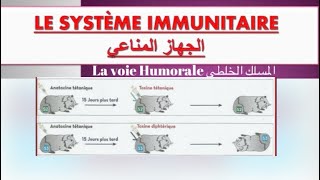 Le système immunitaire ملخص درس  réponse immunitaire spécifique à voie humorale [upl. by Ahsienel]