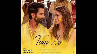 Tum se Song Shahid kapoor Kriti Sanon  Loop [upl. by Neal829]