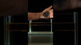 ITS ALL WATER DENSITY explore study science technology physics viralvideo shortvideo facts [upl. by Barraza]