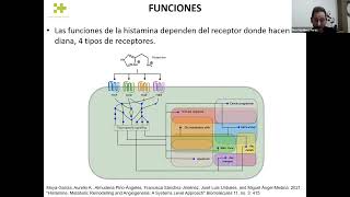 Webinar 6 Histamina histaminosis y alergia una visión integrativa por Iker Martínez Pérez [upl. by Nnylirehs]