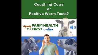 How Can I Worm Dairy Cows in Milk [upl. by Rehpotsrhc]