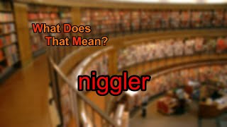 What does niggler mean [upl. by Zischke127]