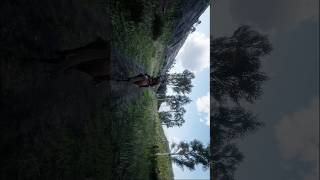 Relaxing ride through Ambarino  Red Dead Redemption 2 [upl. by Codie]