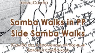 010 Samba Walk in PP side samba walks [upl. by Selwyn]