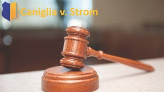 Ep 112 Major Case Caniglia v Strom Community Caretaking and Red Flag Laws [upl. by Acimot]