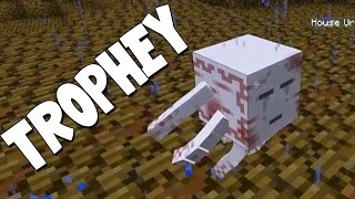 Minecraft  Boss Battles  UrGhast Trophy 19 [upl. by Weld829]