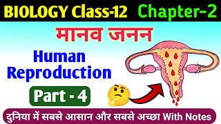 biology class 12 chapter 2  human reproduction in hindi  manav janan class 12th biology scienceSK [upl. by Ainar]