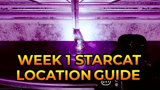 Destiny 2  Week 1 Starcat Location Guide Garden of Plenty amp Blind Well [upl. by Wartow]