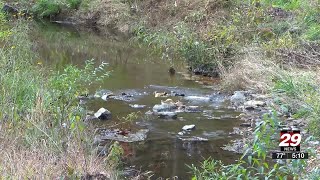 Charlottesville restores tributary for future ecology education [upl. by Elton]