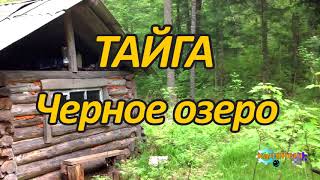 ТАЙГА  Черное озеро 2 из 2 [upl. by Graehl]