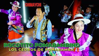 ROCOTITO POMABAMBINO Y LOS CEDROS DE POMABAMBA  CHIMAYCHI ANCASHINO 1 [upl. by Felise]