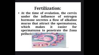 Fertilization implantation ampplacental Formation Part 1 تمريض نساlearning medicalstudent nursing [upl. by Nelleyram]