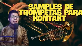 🎺 TROMPETAS KONTAKT  Estos SAMPLES NO LOS DEJARAS DE USAR  REVIEW [upl. by Ching994]