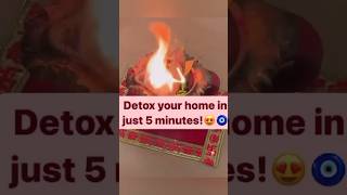 Detox your home in just 5 min pooja healing [upl. by Mikey]