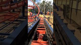 Coming in 🔥 into the brake run Scorpion at Busch Gardens Tampa Bay scorpion buschgardenstampa [upl. by Philip]