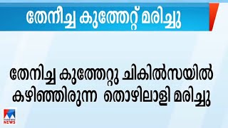 തൊഴിലുറപ്പുജോലിക്കിടെ തേനീച്ചയുടെ കുത്തേറ്റ് തൊഴിലാളി മരിച്ചു  Bee attack  Aruvikkara [upl. by Izak]