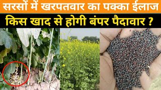 सरसों में खरपतवार का पक्का ईलाज  Weed control in Mustard  Best herbicide for mustard [upl. by Ennairb432]