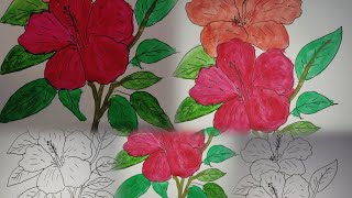 Beautiful hibiscus colouring video🌺🌺🌺 [upl. by Neel]