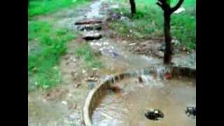 Rain Water Harvesting 1 [upl. by Ahseya986]