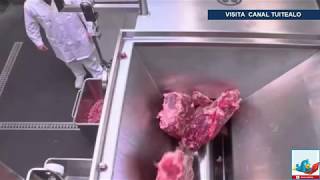 Muere mujer devorada por una moledora industrial de carne en EU [upl. by Varien]