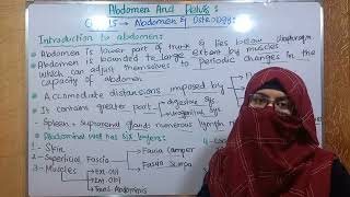 Introduction to abdomen and osteology  abdomen and pelvis  abdominal wall layers  chp 15 bdc [upl. by Kozloski342]