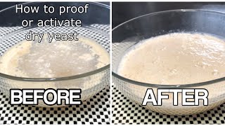 BASIC FOR BEGINNERS HOW TO ACTIVATE YEAST  RIGHT WAY TO ACTIVATE THE DRY YEAST [upl. by Sherrie261]