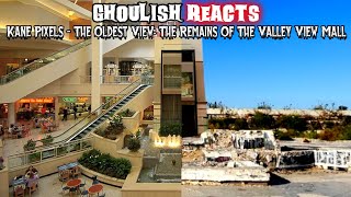 Ghoulish Reacts  Kane Pixels  The Oldest View The Remains Of The Valley View Mall [upl. by Ettezil227]