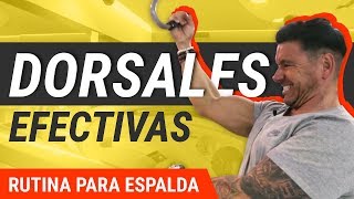 5 Mejores Ejercicios De Dorsales  Rutina De Entrenamiento [upl. by Spearing]