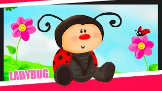 NEW 🐞 ♥️ Fly fly ladybug  Sing with Titounis the ladybug song [upl. by Jeromy256]