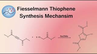 Fiesselmann Thiophene Synthesis Mechanism  Organic Chemistry [upl. by Kablesh]