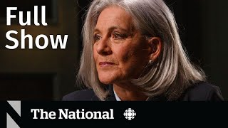 CBC News The National  Lisa LaFlamme Dany Fortin sues Childcare workers [upl. by Thurlow]