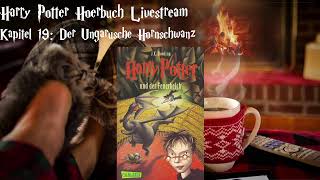 Harry Potter und der Feuerkelch LIVESTREAM Deutsch 7 podcast Harry Potter Hörbuch zum Einschlafen [upl. by Ecirtap]