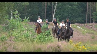 Reiter und Ferienhof Cohrs BispingenVolkwardingen [upl. by Aihsei]