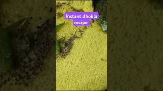 instant dhokla recipe chatori aashi foodie shortvideo food recipe cooking [upl. by Aicnarf]