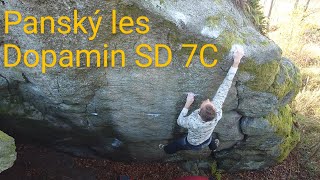 Dopamin 7C Panský les u Humpolce  Bouldering [upl. by Venterea]