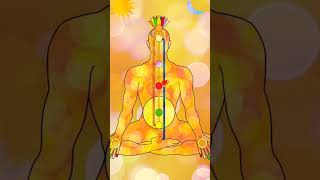 7 Chakras Meditation Explained in Hindi  7 Chakras Healing  7 Chakras Mantra [upl. by Goodard127]