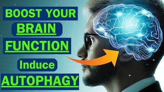 Top 11 Superfoods to induce Autophagy in brain and save you from neurodegenerative diseases [upl. by Hcnarb]