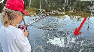 Live Bait Bass Fishing EPIC Fail [upl. by Irok]