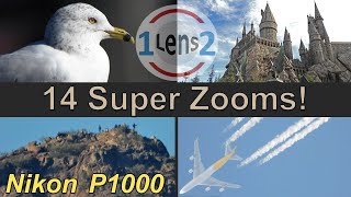 Variety of Nikon COOLPIX P1000 Zoom Tests EP 1 [upl. by Bellina865]